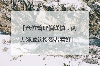 仓位管理偏谨慎，两大领域获投资者看好