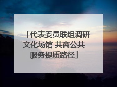 代表委员联组调研文化场馆 共商公共服务提质路径
