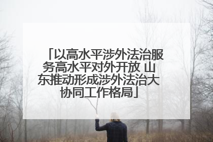 以高水平涉外法治服务高水平对外开放 山东推动形成涉外法治大协同工作格局