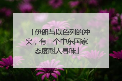 伊朗与以色列的冲突，有一个中东国家态度耐人寻味