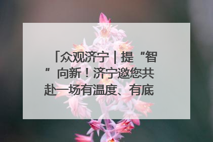 众观济宁｜提“智”向新！济宁邀您共赴一场有温度、有底气的“智造”之约