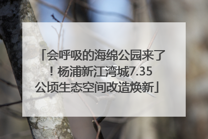 会呼吸的海绵公园来了！杨浦新江湾城7.35公顷生态空间改造焕新
