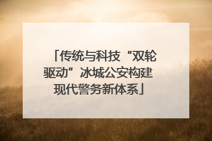 传统与科技“双轮驱动”冰城公安构建现代警务新体系