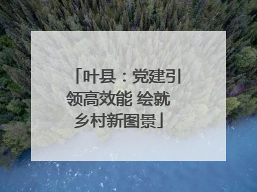 叶县：党建引领高效能 绘就乡村新图景