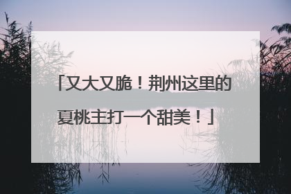 又大又脆！荆州这里的夏桃主打一个甜美！