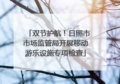 双节护航！日照市市场监管局开展移动游乐设施专项检查