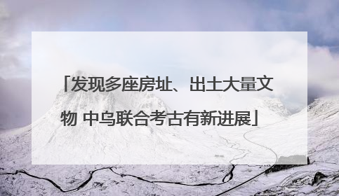发现多座房址、出土大量文物 中乌联合考古有新进展