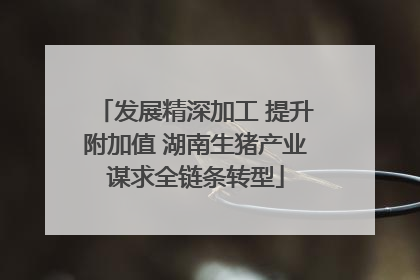 发展精深加工 提升附加值 湖南生猪产业谋求全链条转型