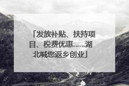 发放补贴、扶持项目、税费优惠……湖北喊您返乡创业