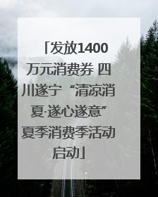 发放1400万元消费券 四川遂宁“清凉消夏·遂心遂意”夏季消费季活动启动