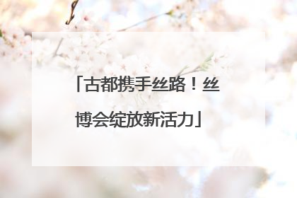 古都携手丝路！丝博会绽放新活力