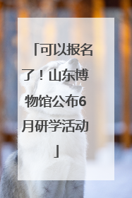 可以报名了！山东博物馆公布6月研学活动