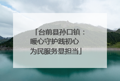 台前县孙口镇：暖心守护践初心 为民服务显担当