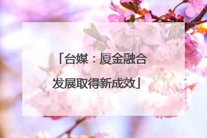台媒：厦金融合发展取得新成效