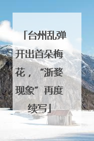 台州乱弹开出首朵梅花，“浙婺现象”再度续写