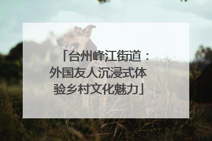 台州峰江街道：外国友人沉浸式体验乡村文化魅力