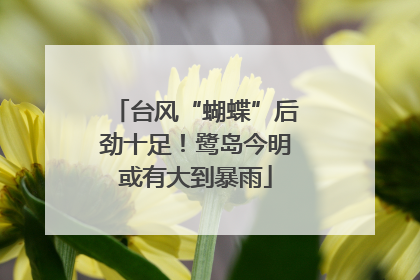 台风“蝴蝶”后劲十足！鹭岛今明或有大到暴雨