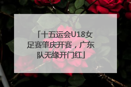 十五运会U18女足赛肇庆开赛，广东队无缘开门红