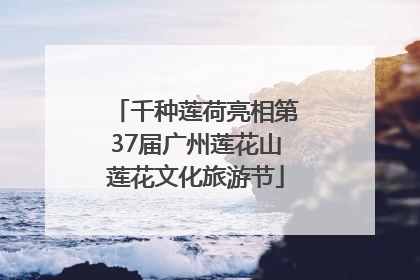 千种莲荷亮相第37届广州莲花山莲花文化旅游节
