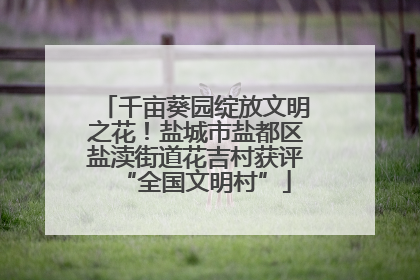 千亩葵园绽放文明之花！盐城市盐都区盐渎街道花吉村获评“全国文明村”