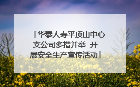 华泰人寿平顶山中心支公司多措并举  开展安全生产宣传活动