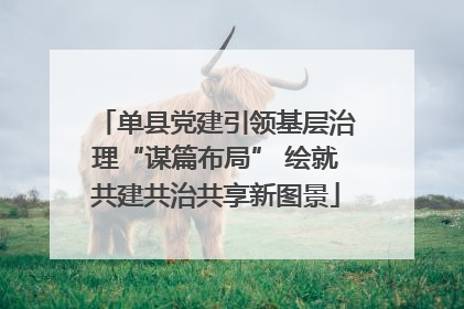 单县党建引领基层治理“谋篇布局” 绘就共建共治共享新图景