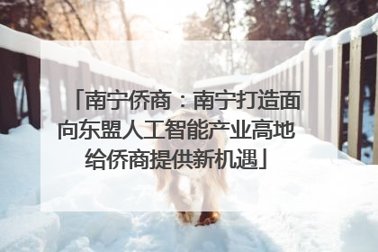 南宁侨商：南宁打造面向东盟人工智能产业高地给侨商提供新机遇