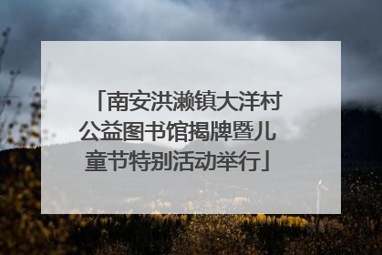 南安洪濑镇大洋村公益图书馆揭牌暨儿童节特别活动举行