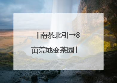 南茶北引→8亩荒地变茶园
