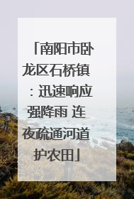 南阳市卧龙区石桥镇：迅速响应强降雨 连夜疏通河道护农田