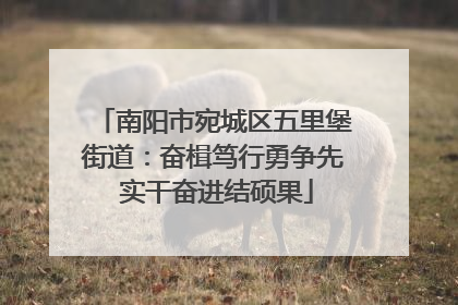 南阳市宛城区五里堡街道：奋楫笃行勇争先 实干奋进结硕果
