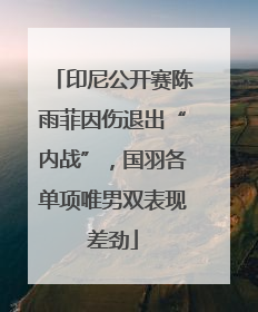 印尼公开赛陈雨菲因伤退出“内战”，国羽各单项唯男双表现差劲