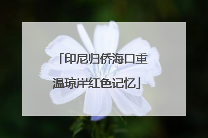 印尼归侨海口重温琼崖红色记忆