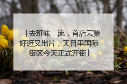 去班味一流，首店云集好逛又出片，天目里国际街区今天正式开街