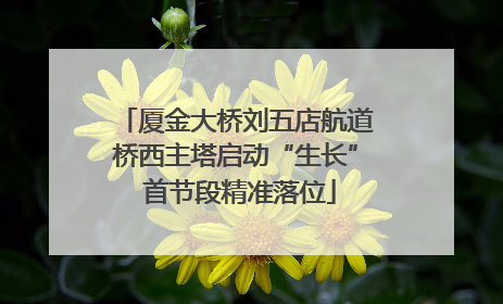 厦金大桥刘五店航道桥西主塔启动“生长” 首节段精准落位