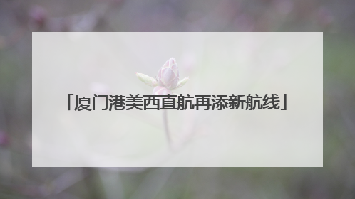 厦门港美西直航再添新航线