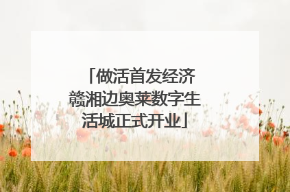 做活首发经济 赣湘边奥莱数字生活城正式开业