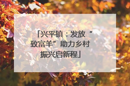 兴平镇：发放“致富羊”助力乡村振兴启新程