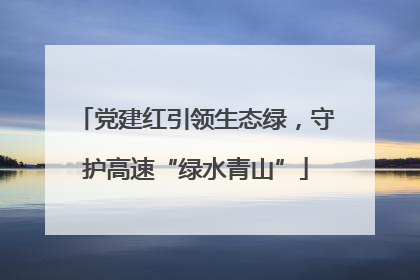 党建红引领生态绿，守护高速“绿水青山”