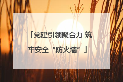 党建引领聚合力 筑牢安全“防火墙”