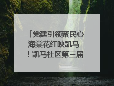 党建引领聚民心 海棠花红映凯马！凯马社区第三届邻里生活节谱写幸福新篇章