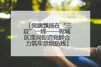 党旗飘扬在“三夏”一线——宛城区溧河街道党群合力筑牢禁烧防线