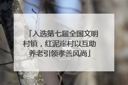入选第七届全国文明村镇，红泥崖村以互助养老引领孝善风尚