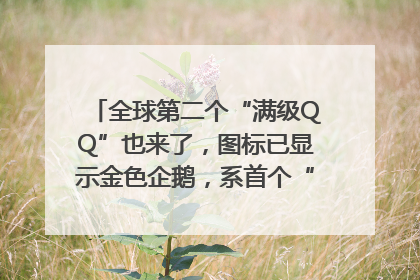 全球第二个“满级QQ”也来了，图标已显示金色企鹅，系首个“满级QQ”的小号
