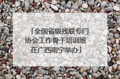 全国省级残联专门协会工作骨干培训班在广西南宁举办
