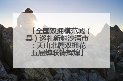 全国双拥模范城（县）巡礼新疆沙湾市：天山北麓双拥花 五届蝉联铸辉煌