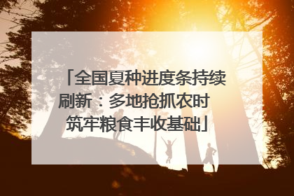 全国夏种进度条持续刷新：多地抢抓农时 筑牢粮食丰收基础