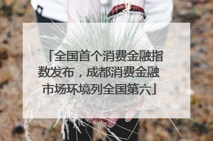 全国首个消费金融指数发布，成都消费金融市场环境列全国第六