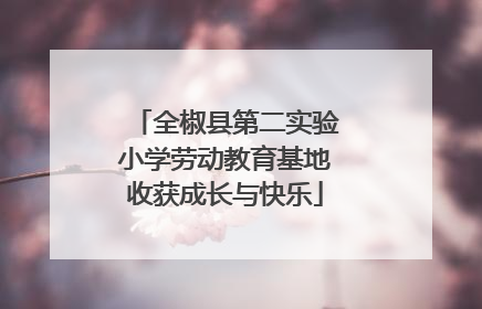 全椒县第二实验小学劳动教育基地收获成长与快乐