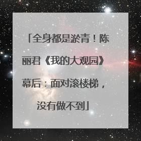 全身都是淤青！陈丽君《我的大观园》幕后：面对滚楼梯，没有做不到